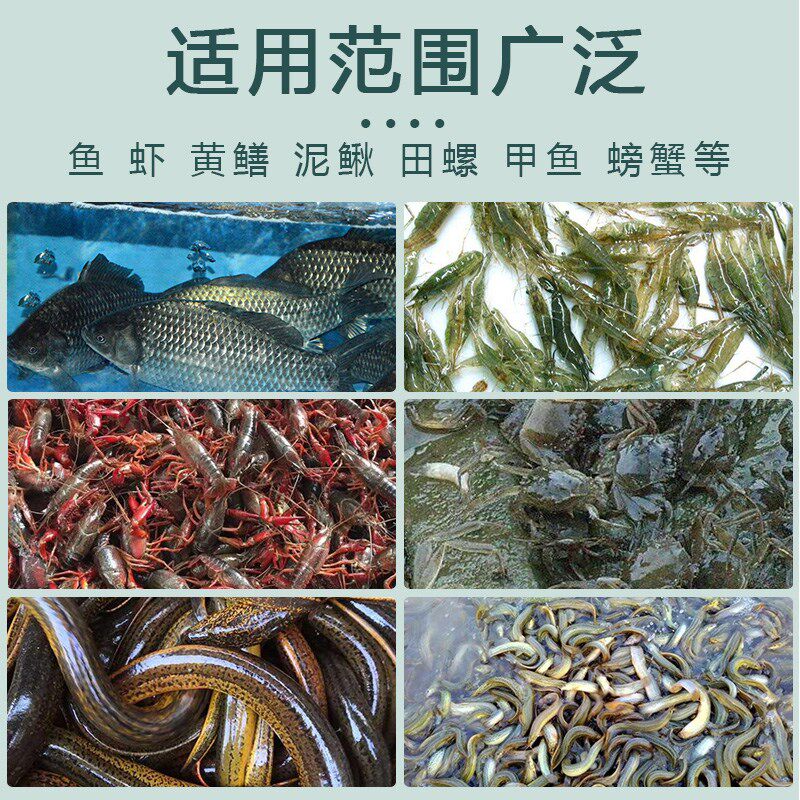 养鱼网箱养鱼箱存鱼漂浮暂养鱼护防逃网笼折叠装鱼笼养殖网箱钢丝