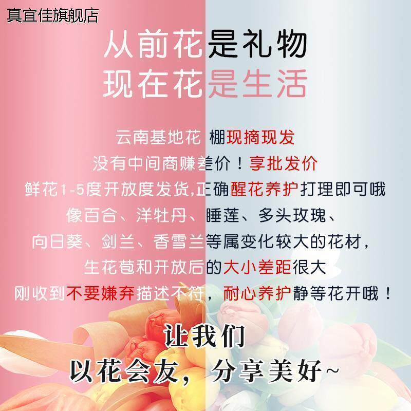 玫瑰花鲜花云南直发百合昆明斗南基地混搭花束插花瓶卡布奇诺