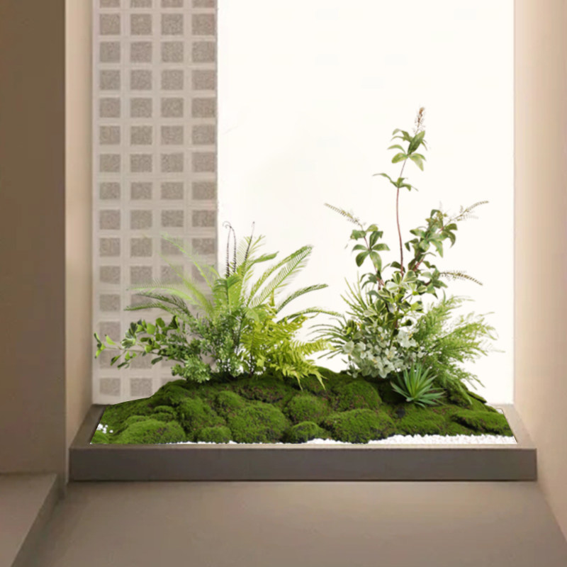 仿真蕨类植物微景观布置室内玄关假苔藓落地摆件橱窗绿植造景装饰
