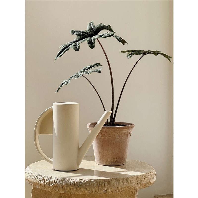 植物私生活 ins风小众花友植物爱好者别样室内陶瓷浇水壶花瓶两用