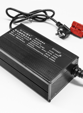 24v15a洗地机充电器12v36伏48v电动叉车充电机堆高车液压车扫地机