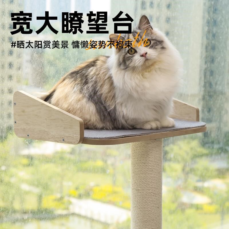 猫爬架剑麻猫抓板猫窝猫树一体靠墙壁式不占地小猫跳台实木通天柱