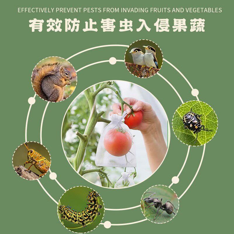 水果套袋防虫防鸟尼龙专用网袋葡萄桃子石榴草莓无花果通用网纱袋