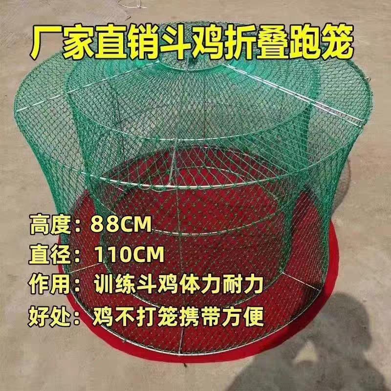 斗鸡双层折叠跑笼斗鸡笼子斗鸡折叠跑笼斗鸡训练组装跑笼斗鸡罩笼