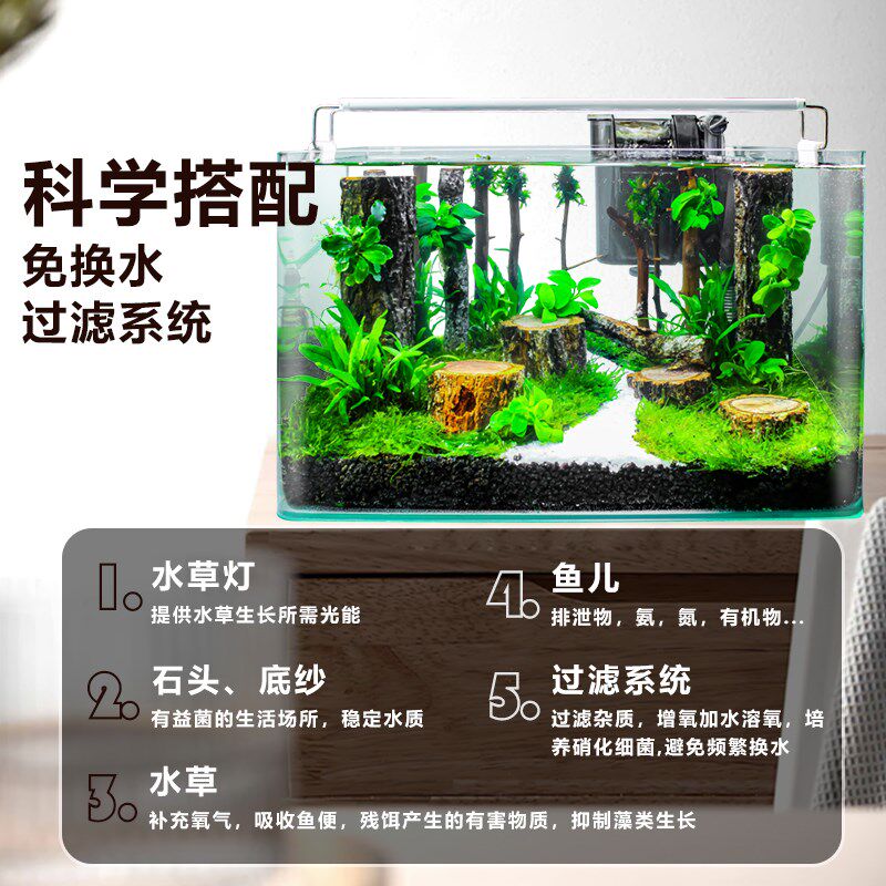 免造景鱼缸客厅小型生态家用玻璃桌面2025新款造景过滤制氧一体机
