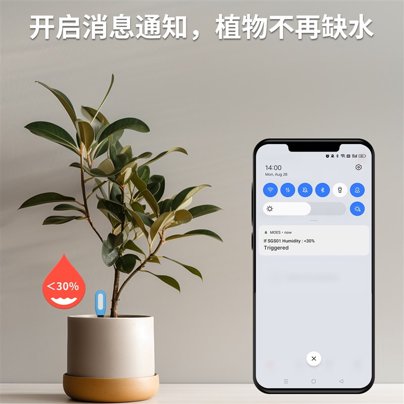 涂鸦智能家居盆景土壤温湿监测检查园艺温湿度感应检测仪自动浇水
