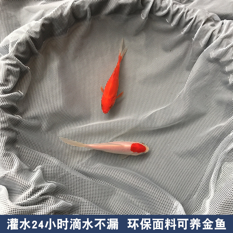 定制雨衣雨裤特大号加肥加大套装大码骑行男女分体长款全身防暴雨