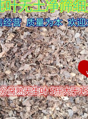 腐熟橡树叶,柞树叶,君子兰花土配合料腐叶土腐熟松针腐殖质种花土