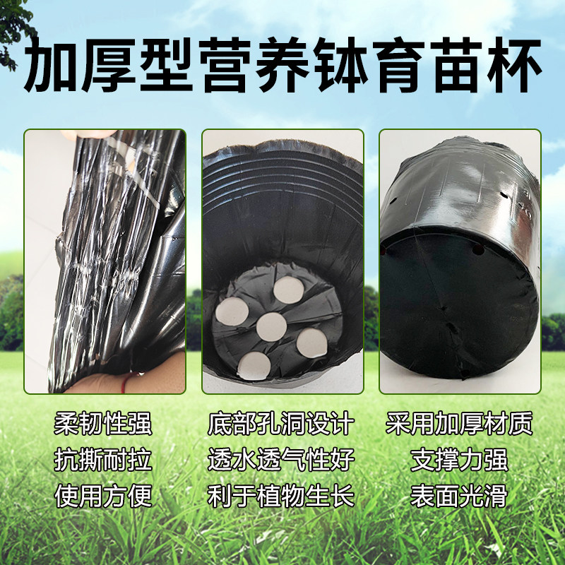 营养钵育苗盆一次性黑色塑料营养袋西瓜种植杯果树育苗袋加厚花盆