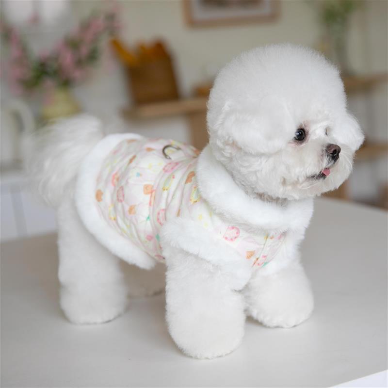 牵引马甲棉衣狗衣服冬装保暖泰迪比熊博美小型犬宠物冬季加绒加厚