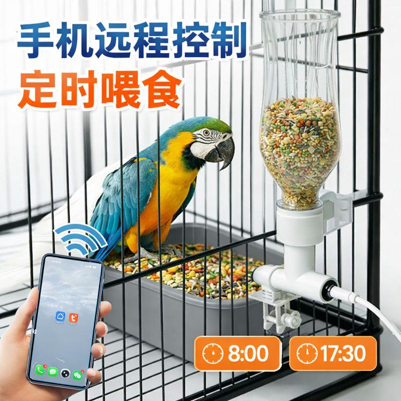 鹦鹉鸟喂食器手机控制远程自动定时鸽子八哥自动投食下料器