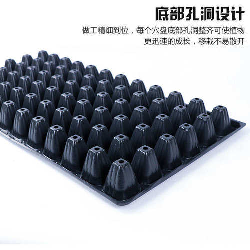 育苗盘穴盘育苗盒育苗盆蔬菜育苗盆塑料育苗器苗木多肉整箱箱