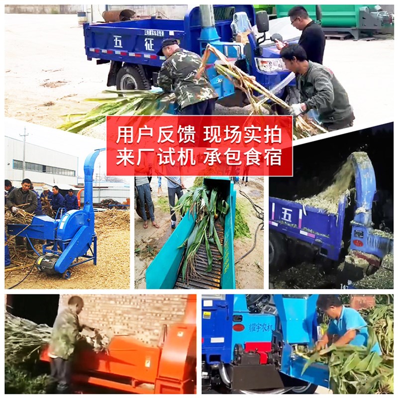 青贮铡草机高喷秸秆切草铡揉All时产5-6吨养殖场用