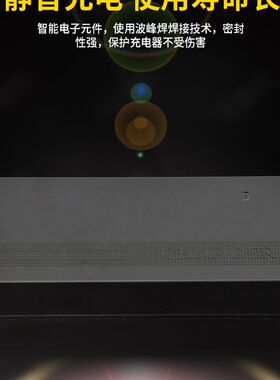 小牛G0F0锂离子电动车充电器48伏快充G1G2GOVA锂电池电瓶54.6V2A
