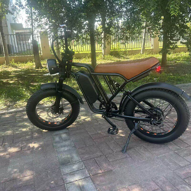 ebike电动自行车4.0轮胎欧洲20寸胖胎沙滩雪地越野锂电助力车
