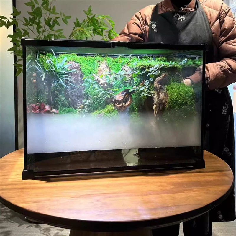 苔藓微景观雨林缸植物造景角蛙蜥蜴守宫蛇爬虫两栖生态乌龟水陆缸