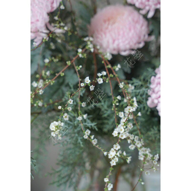 雪柳花牡丹菊雪花松组合混搭花束花艺花瓶插花鲜花水养真花鲜切花