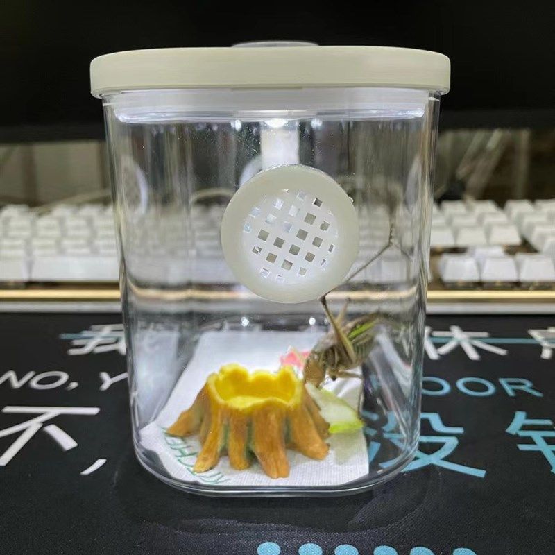 昆虫饲养盒蝈蝈饲养盒蝈蝈笼子昆虫观察盒 鸣虫生态盒竹蛉带加湿