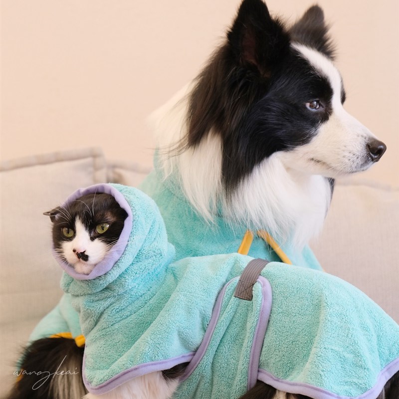 宠物浴袍细纤维吸水猫狗全包裹快干浴衣浴袍安抚衣