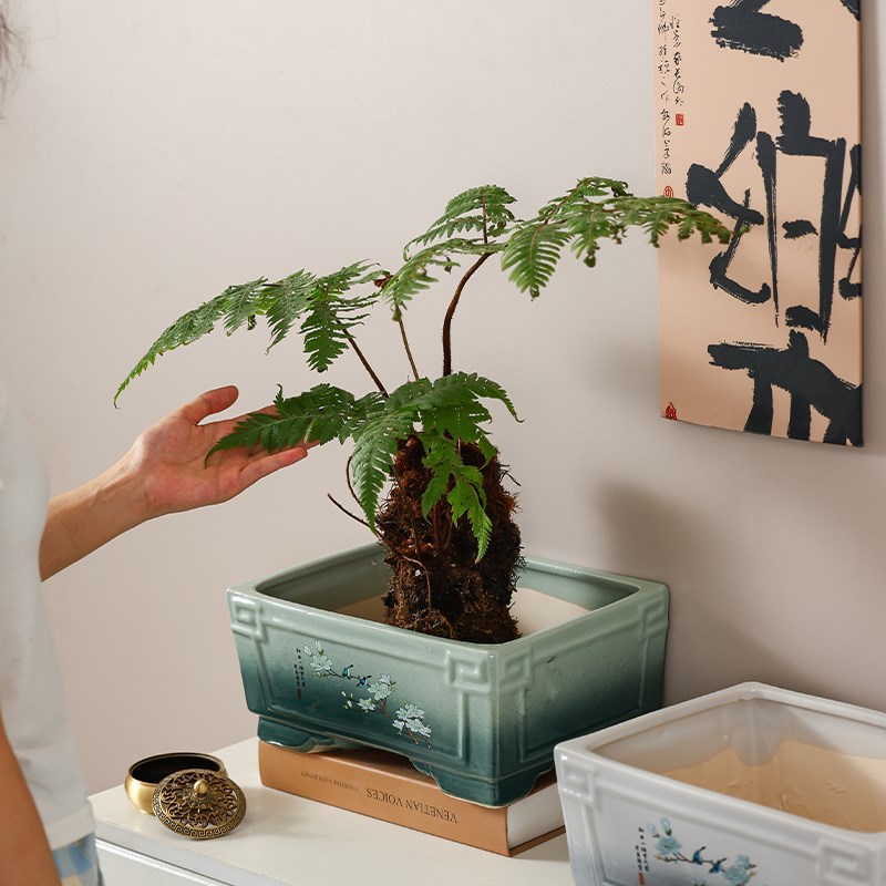 陶瓷花盆客厅长方形中式复古大口径马槽盆发财树小叶簕竹专用盆景