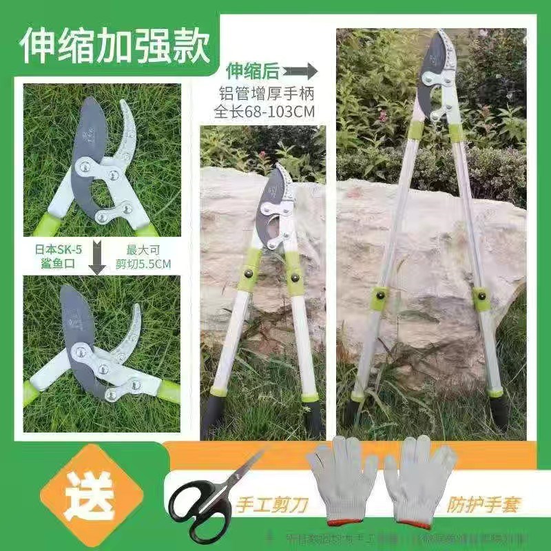 进口SK5锰钢粗枝剪大力剪园林大剪刀园艺剪刀省力剪修枝剪果树剪
