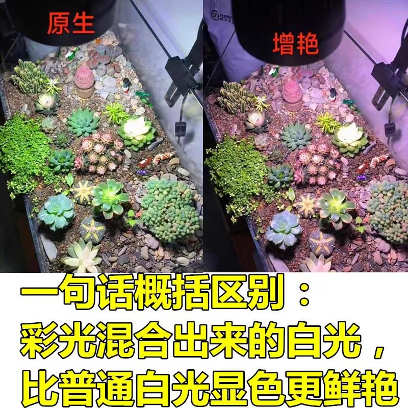 古法缸水族支架灯座led植物灯鱼缸灯瓦缸水缸花盆陶缸爆藻灯夹子