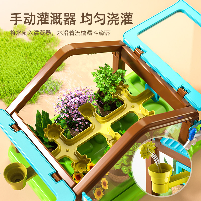 植树节树苗儿童种植迷你小盆栽幼儿园阳光房种花植物长草娃娃子的