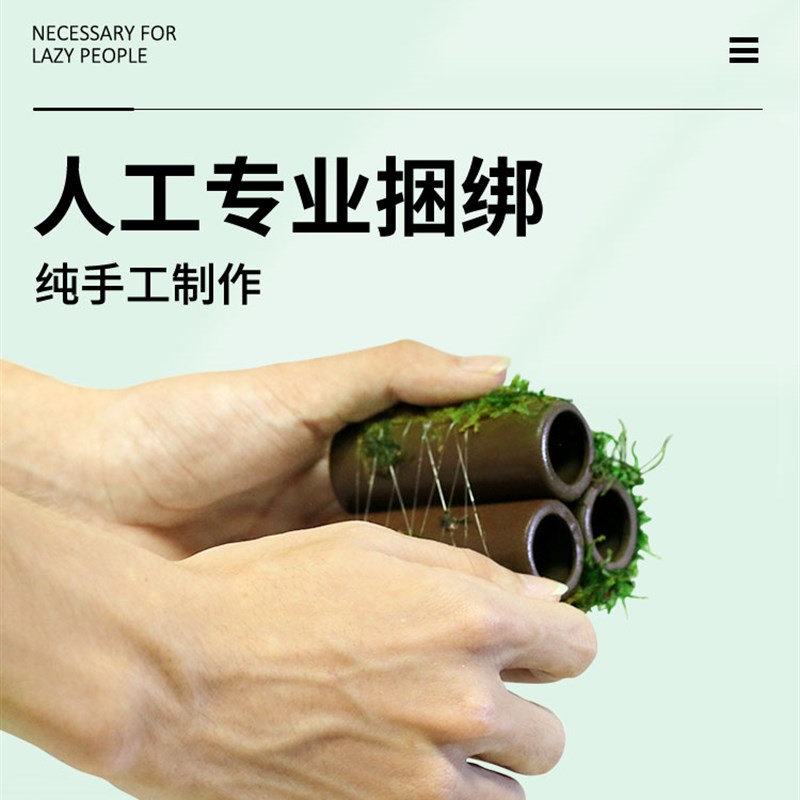 鱼缸水草造景莫斯水草懒人真植物鱼虾躲避罐虾屋小摆件小鱼躲避屋