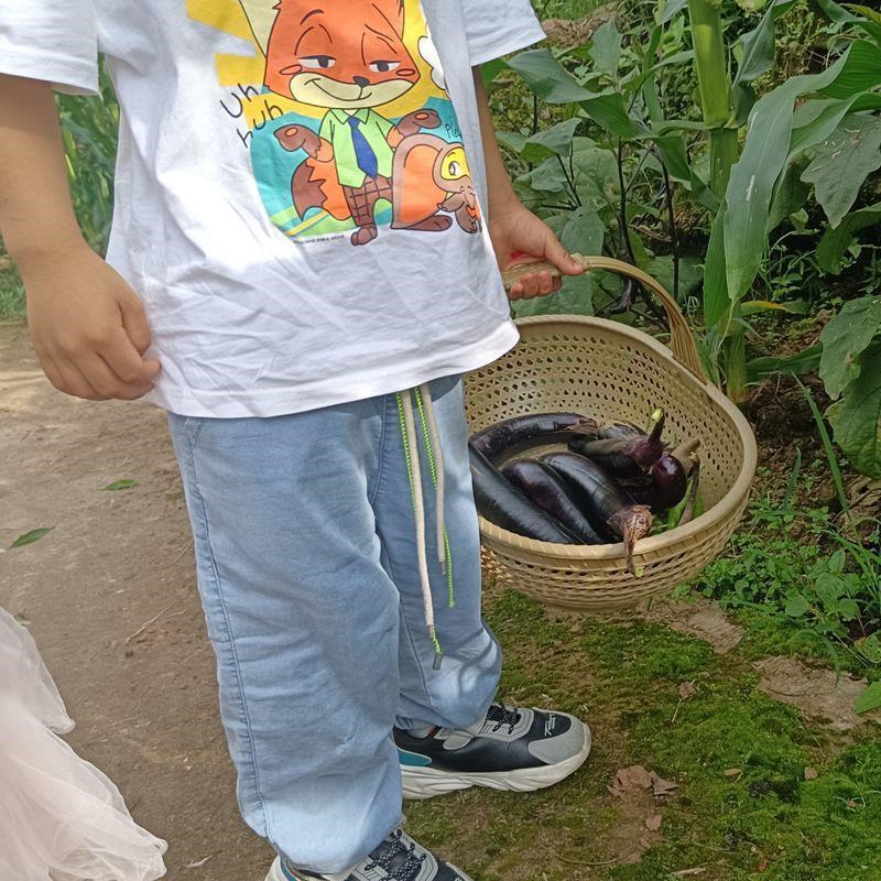 仿藤编织藤手提篮子家用买菜购物篮水果蔬菜蓝水果采摘篮野外提蓝