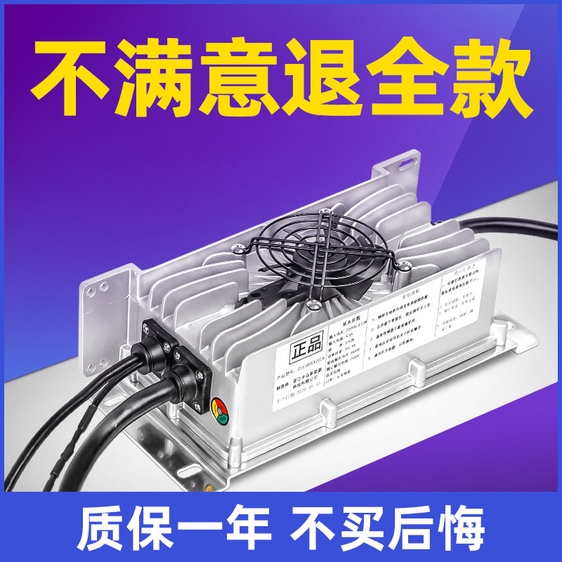 适用雷丁鸿日大阳比德文丽驰60V三元锂电池车载电动四轮车充电器