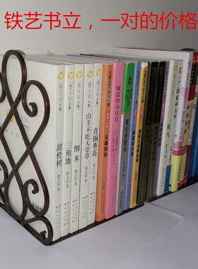欧式创意铁艺书立伸缩金属书挡书托书夹板整理课本书本收纳架子
