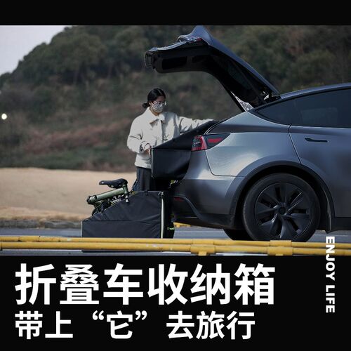 折叠车包大行折叠车收纳箱后备箱装车放汽车后座适用于大行P8收纳