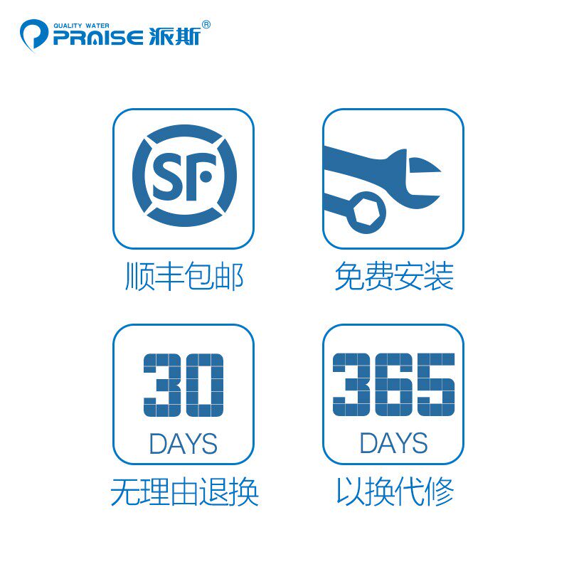 美国派斯无盐软水机SSP-100/200/300 家用中央全屋阻垢器