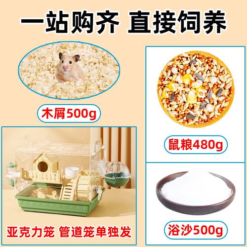 小仓鼠活物送笼子小朋友礼物宠物适合小孩子养的金丝熊三线紫仓鼠