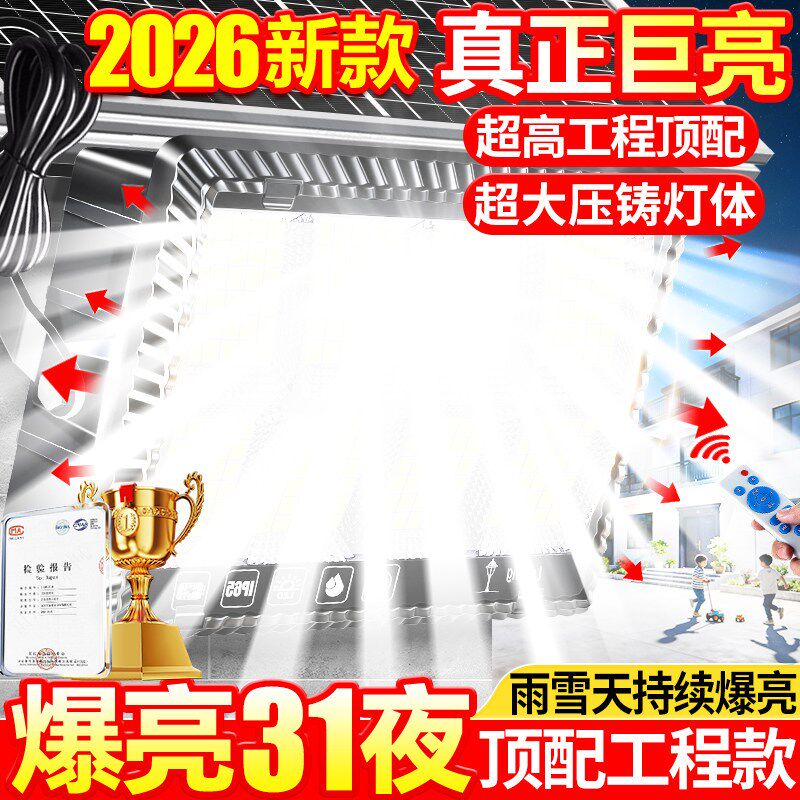 太阳能户外路灯超亮大功率强光2026新款农村庭院室外一拖二照明灯