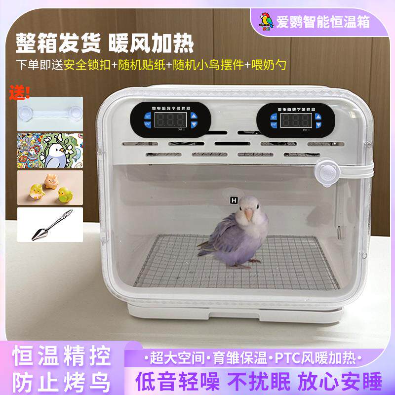 鹦鹉保温箱幼鸟专用雏鸟恒温过冬玄凤专用风暖育雏小型半毛成鸟