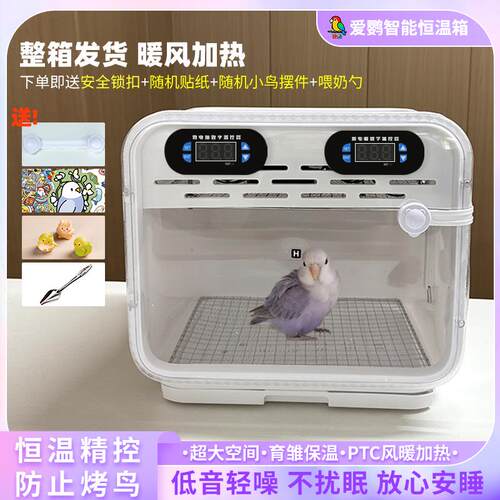 鹦鹉保温箱幼鸟专用雏鸟恒温过冬玄凤专用风暖育雏小型半毛成鸟