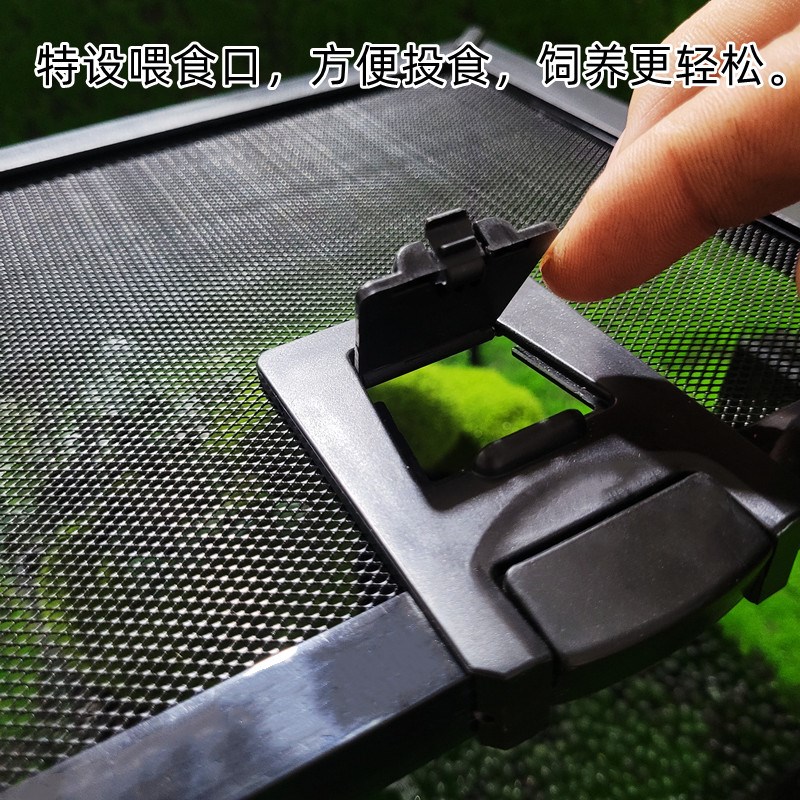 角蛙饲养箱套装两栖蛙类繁殖箱爬宠雨林缸苔藓造景树蛙蝾螈乌龟箱