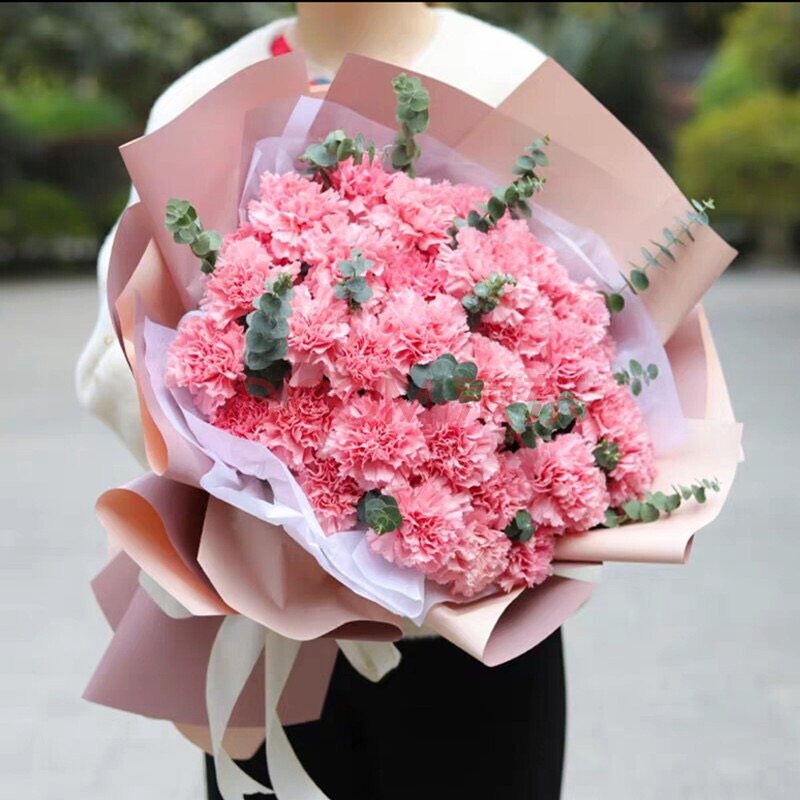 康乃馨百合混搭花束鲜花同城速递重庆武汉送妈妈生日探望领导长辈
