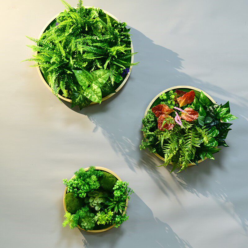 墙面装饰植物墙上圆形彷真多肉壁挂绿植墙体墙面墙壁立体相框装饰