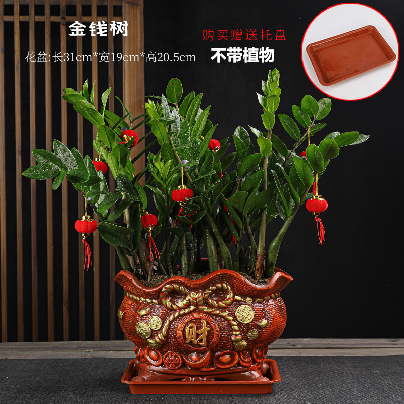 花盆陶瓷大号复古发财树盆栽室内办公室桌面君子兰林芝个性创意盆