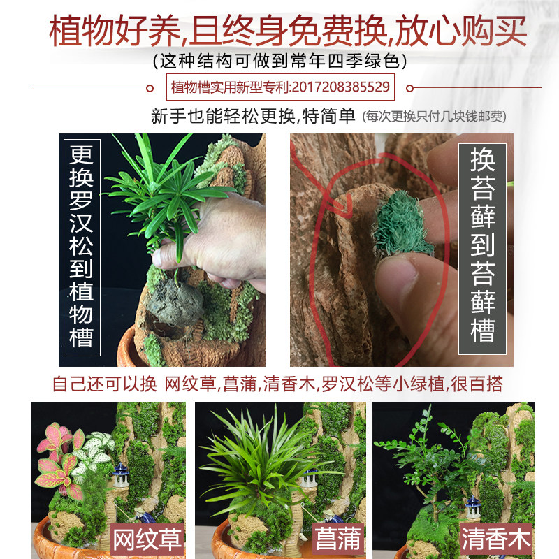 流水瀑布版吸水假山盆景石上水石摆件小型奇石原天然山水植物造景