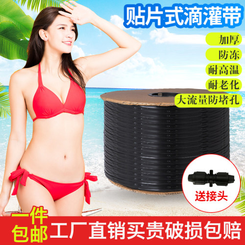 双孔农用滴灌带滴灌管滴水单孔大棚水果贴片式滴管蔬菜草莓灌溉