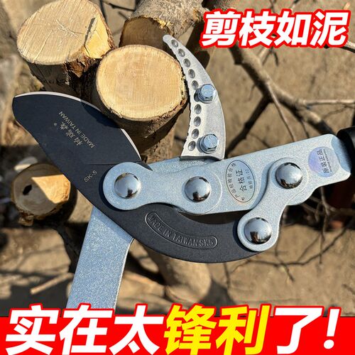 修剪树枝剪园艺粗枝果树园林大力竹子专用电花树枝伸缩动剪刀钳子