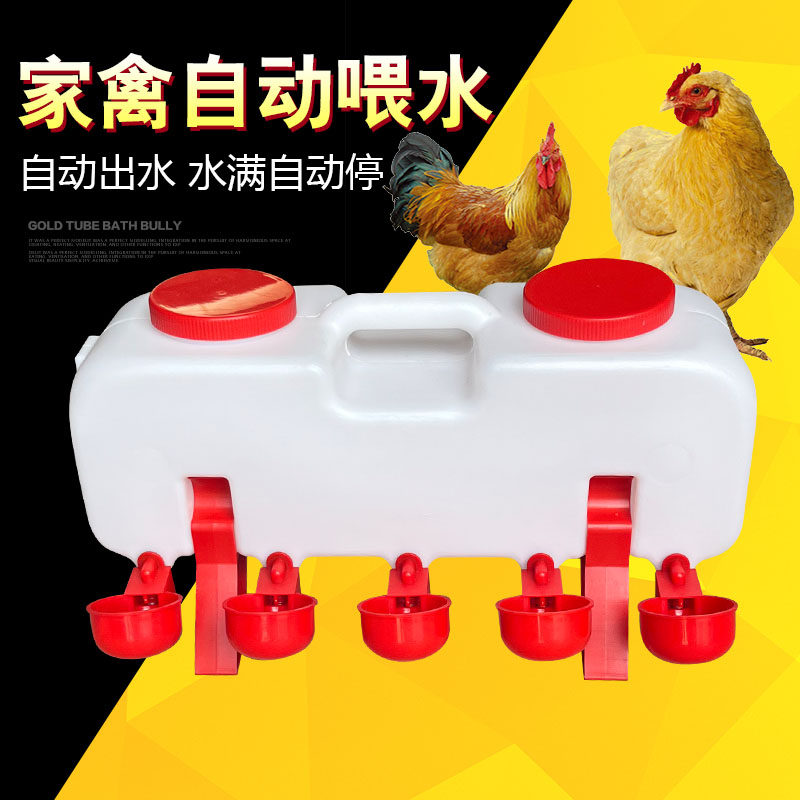 养殖鸡用水槽鸡水桶鸭子饮水器鹅用自动水壶大小鸡水碗鸡用饮水器