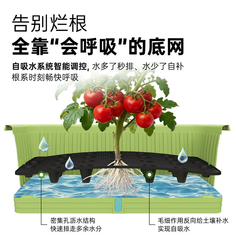 种菜专用盆加大加厚长方形塑料蔬菜种植花盆自吸水家用阳台种菜盆