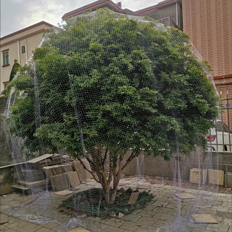果树防鸟网罩水果嘉宝果葡萄樱桃无花果枇杷单棵专用遮树网神器图片