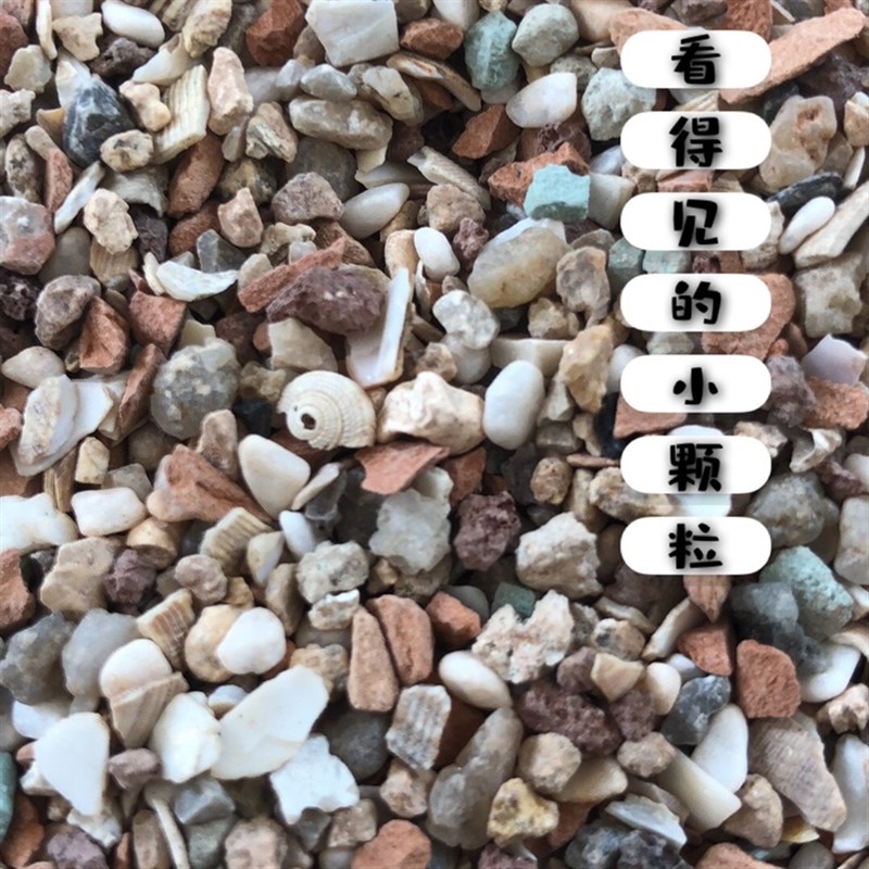 鸽子保健砂隆飞尔九品矿石幼鸽用沙小颗粒鸟食鸽粮1袋5斤多省包邮图片