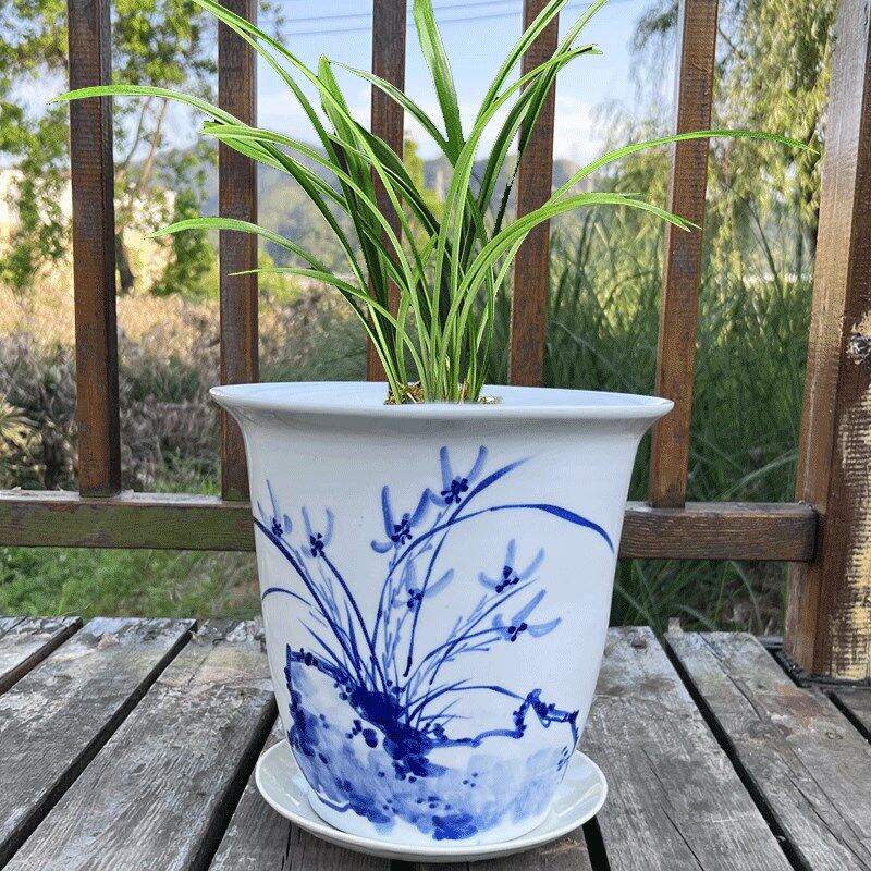 景德镇陶瓷兰花花盆手绘蝴蝶兰吊兰多肉家用桌面落地带底座托盘