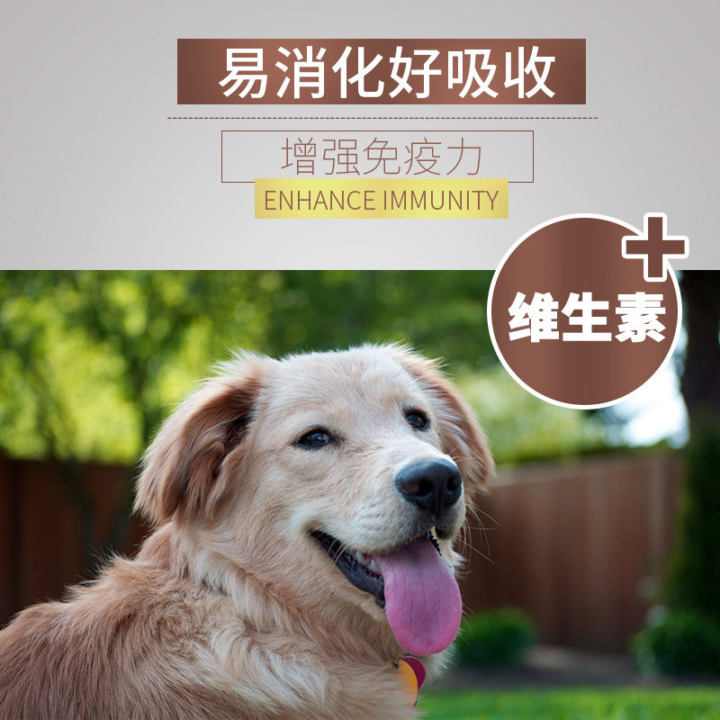 金毛幼犬狗粮离乳期狗粮美毛营养高蛋白天然粮中大型犬专用狗粮